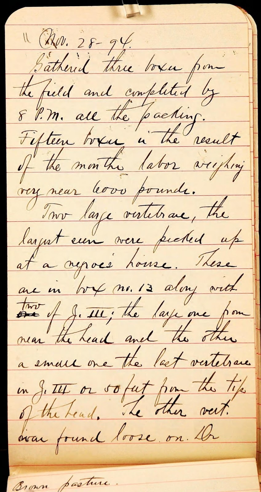 View Full Size Image