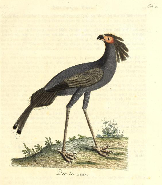 View Full Size Image