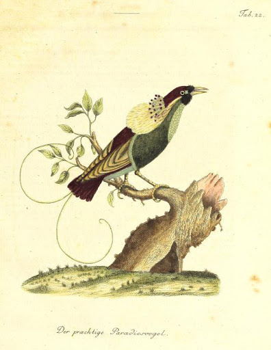 View Full Size Image