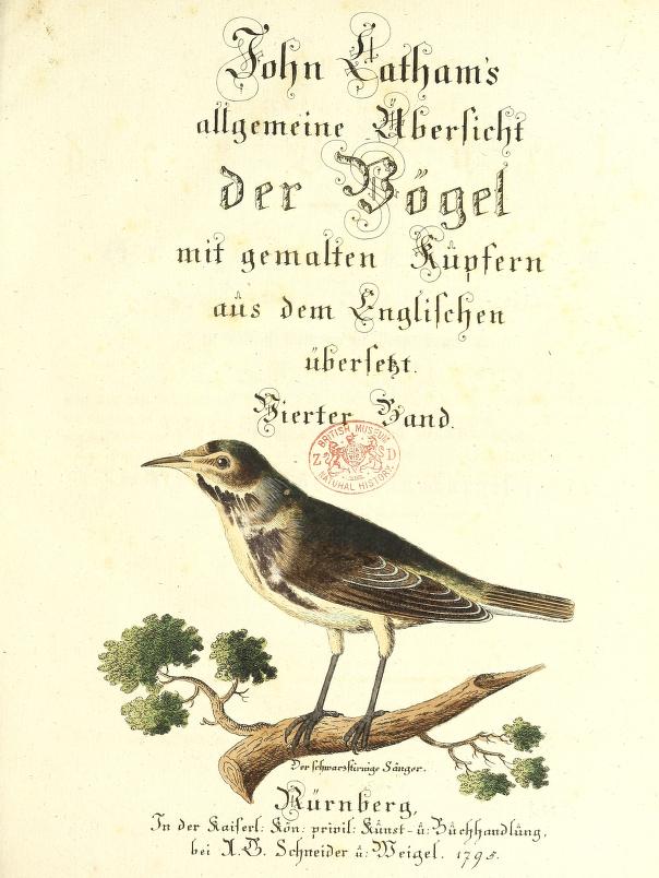 View Full Size Image