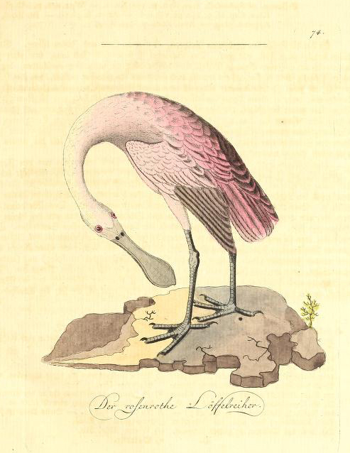 View Full Size Image