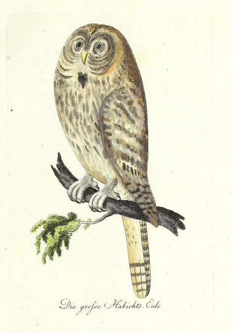 View Full Size Image