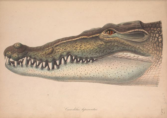 Read the full blog post