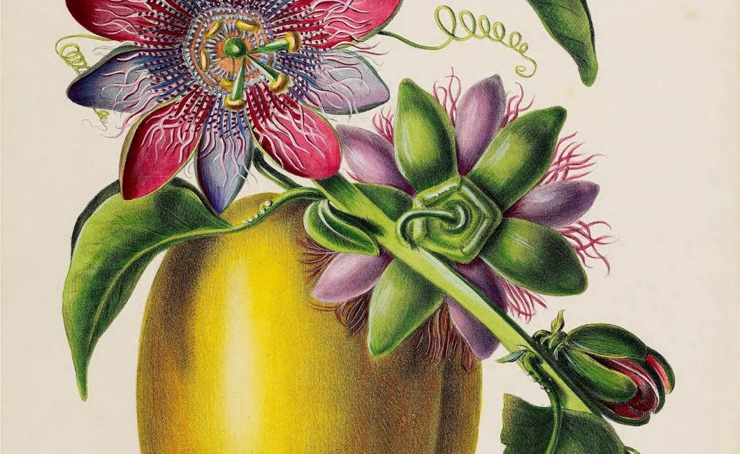 Read the full blog post