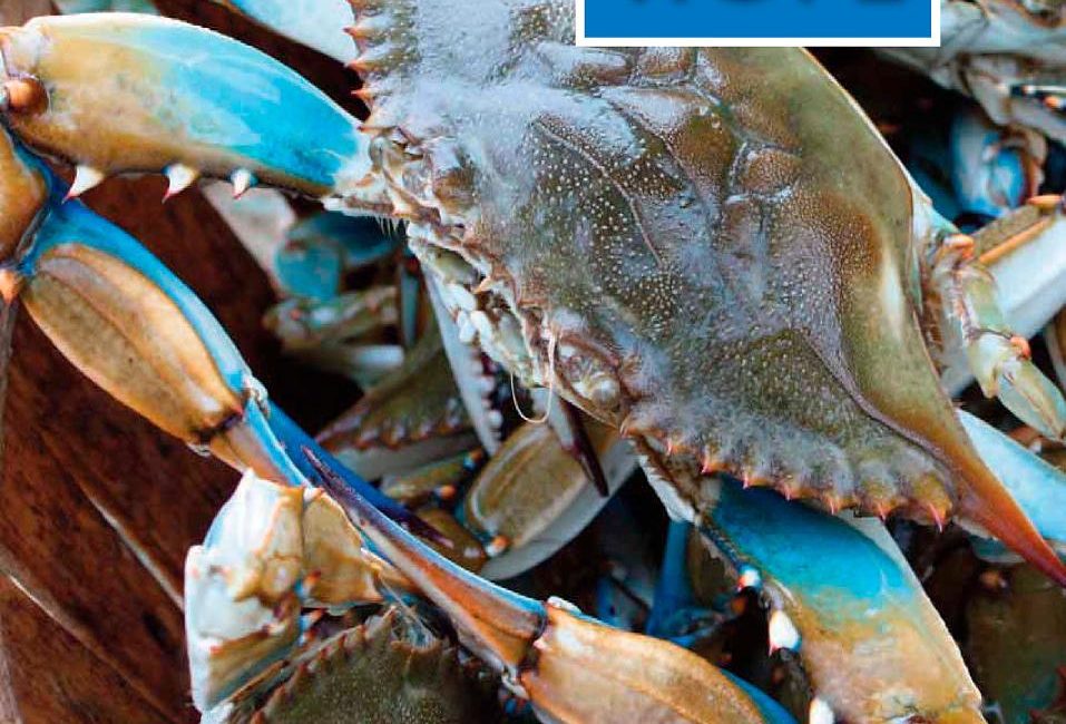 Read the full blog post