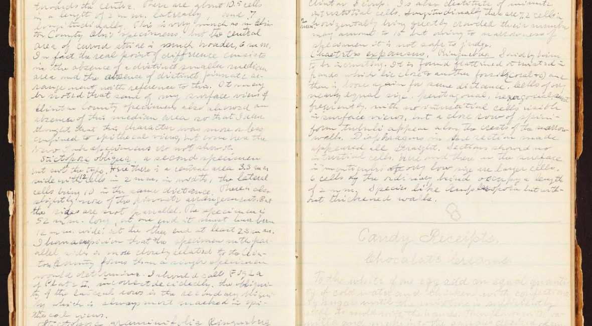 Read the full blog post