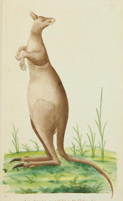 Read the full blog post