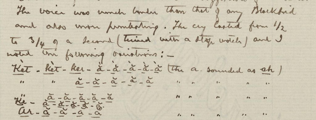 handwritten text on a page