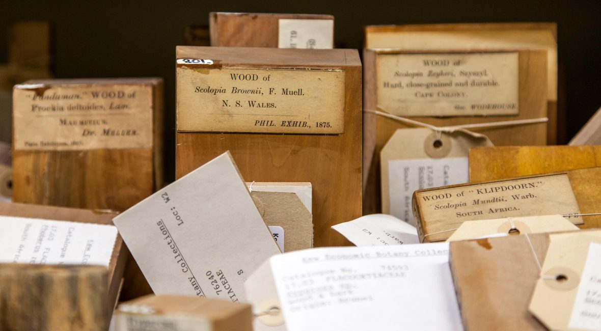 Read the full blog post