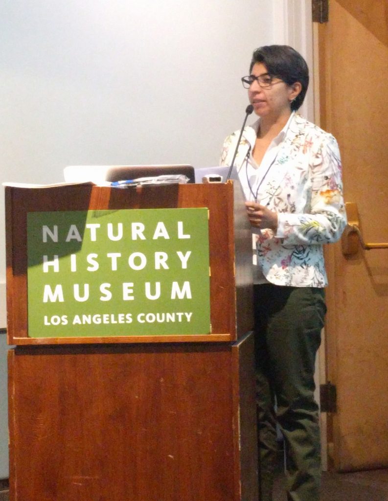 woman with brown hair talking into a microphone behind a podium