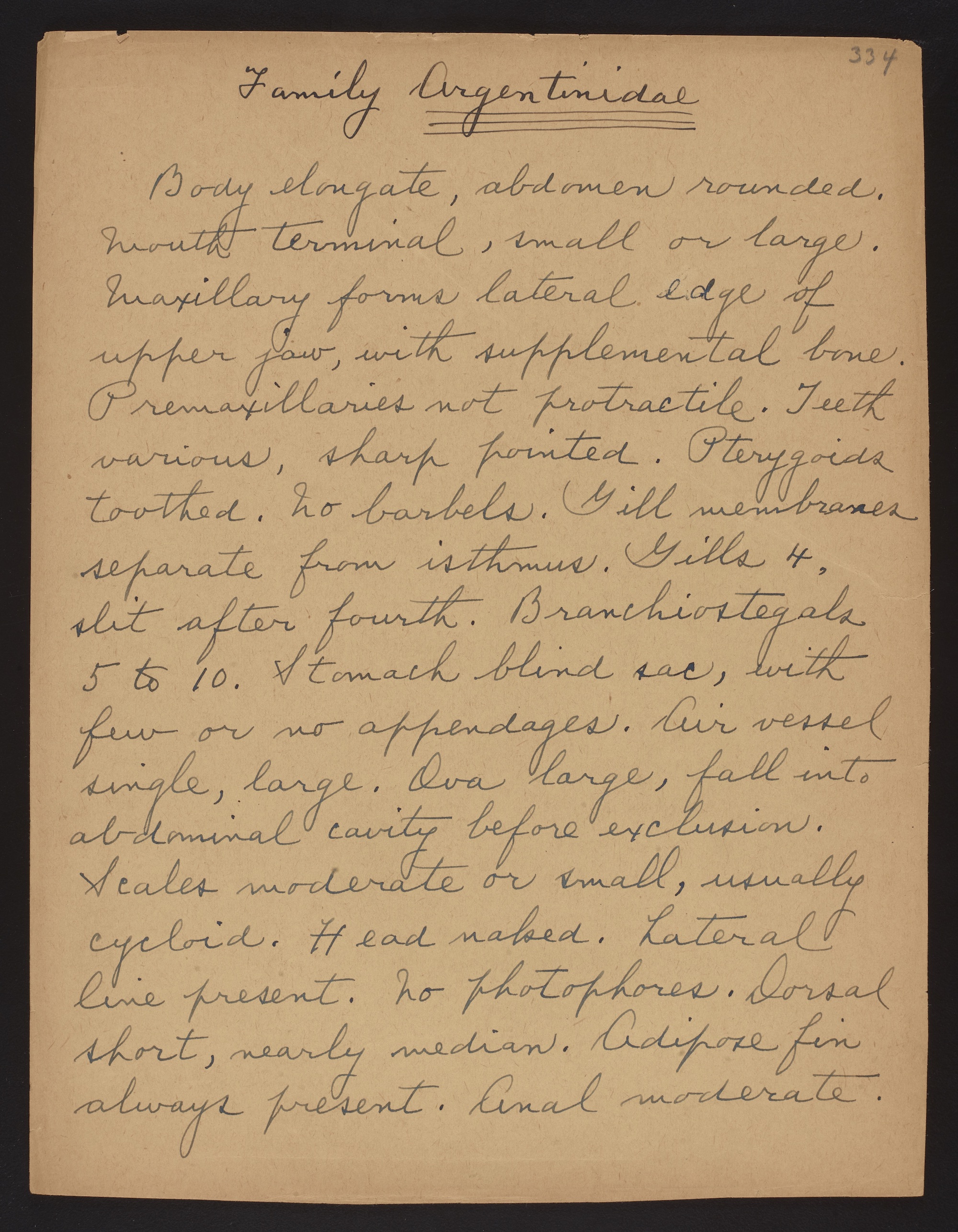 Fowler, Henry Weed. Manuscript of Henry Weed Fowler on the fishes of the Philippines, unpublished, circa 1930-1941. Families Argentinidae and Serpidae. Digitized in BHL by Smithsonian Institution Archives.