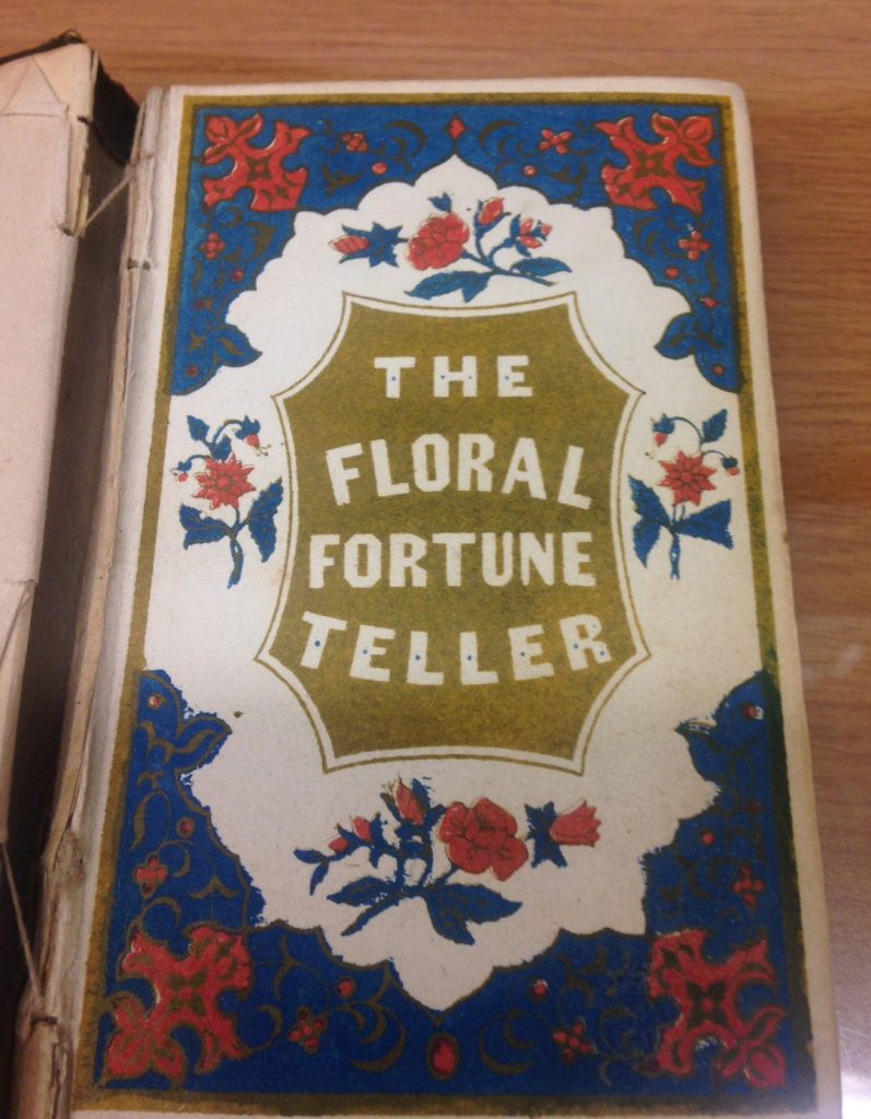 a book with a blue, white, and red cover that reads "the floral fortune teller"