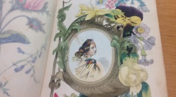 illustration with a portrait of a woman surrounded by flowers