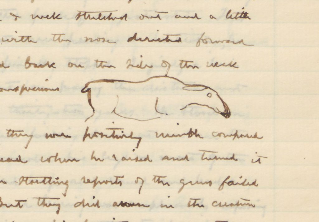 handwritten text on a page with a drawing of a moose