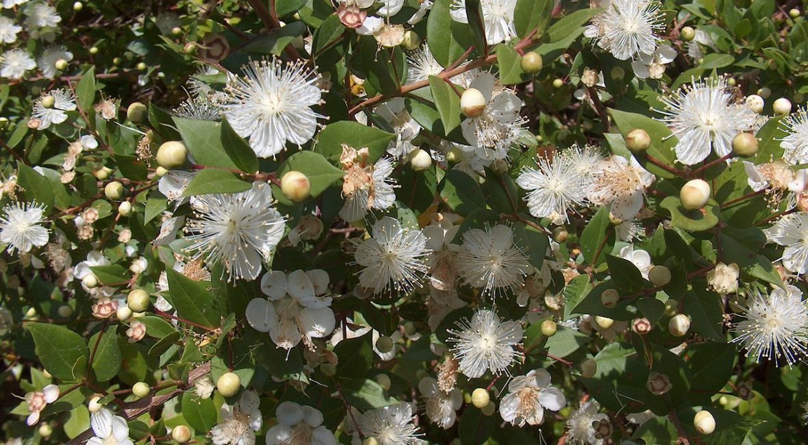 Read the full blog post