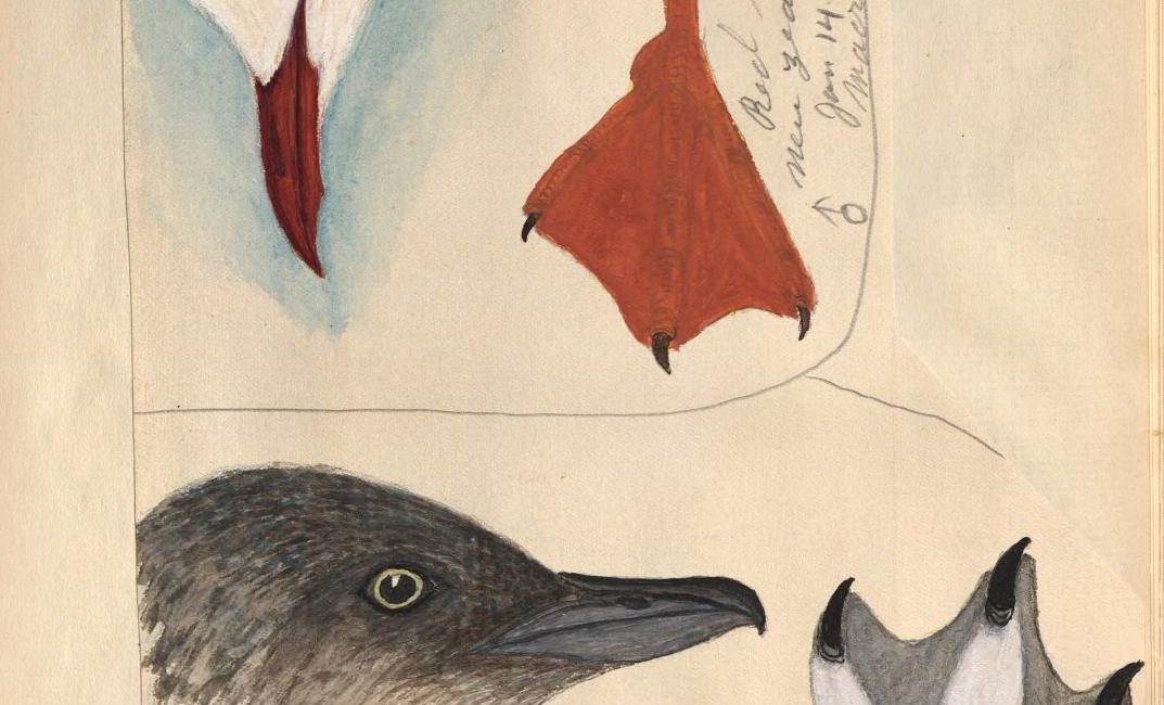 Read the full blog post