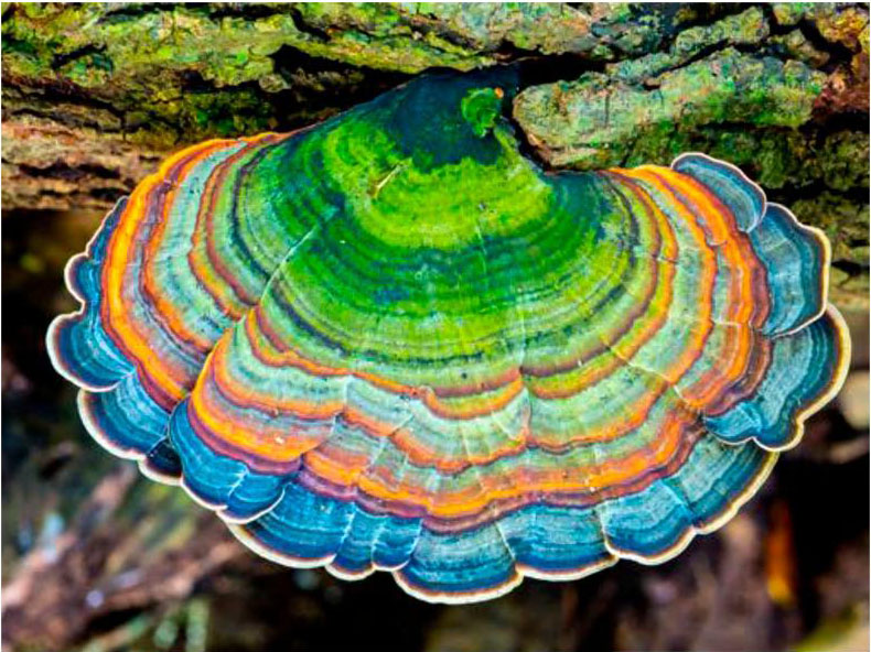 Read the full blog post