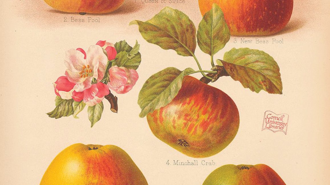 Read the full blog post