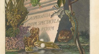 Historia naturalis ranarum nostratium frontispiece