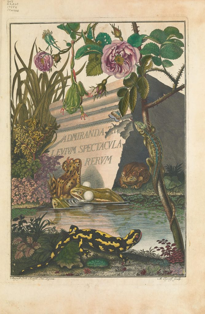 Historia naturalis ranarum nostratium frontispiece