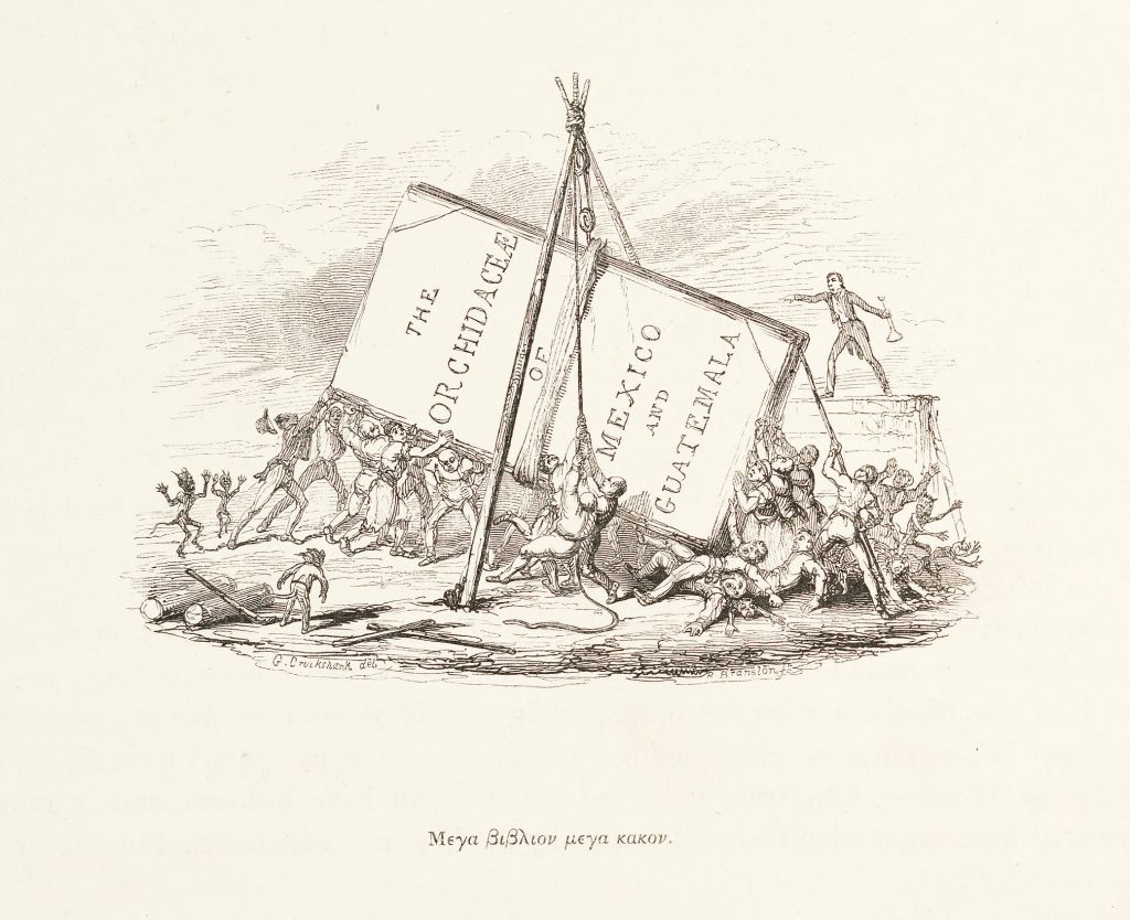 “The Librarian’s Nightmare.” Vignette by George Cruikshank for James Bateman’s The Orchidaceae of Mexico and Guatemala ([1837]-1843). Contributed in BHL by the Peter H. Raven Library of the Missouri Botanical Garden.