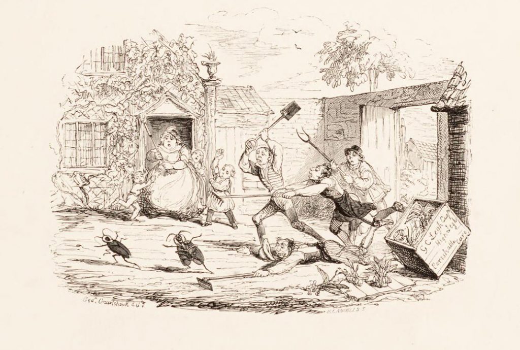 As another example of humor within The Orchidaceae of Mexico and Guatemala, this vignette by George Cruikshank depicts a pair of gigantic cockroaches escaping from a box meant to contain orchid specimens whilst the gardener’s family and assistants chase the unwelcome intruders.