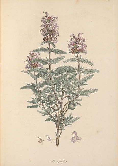 Read the full blog post