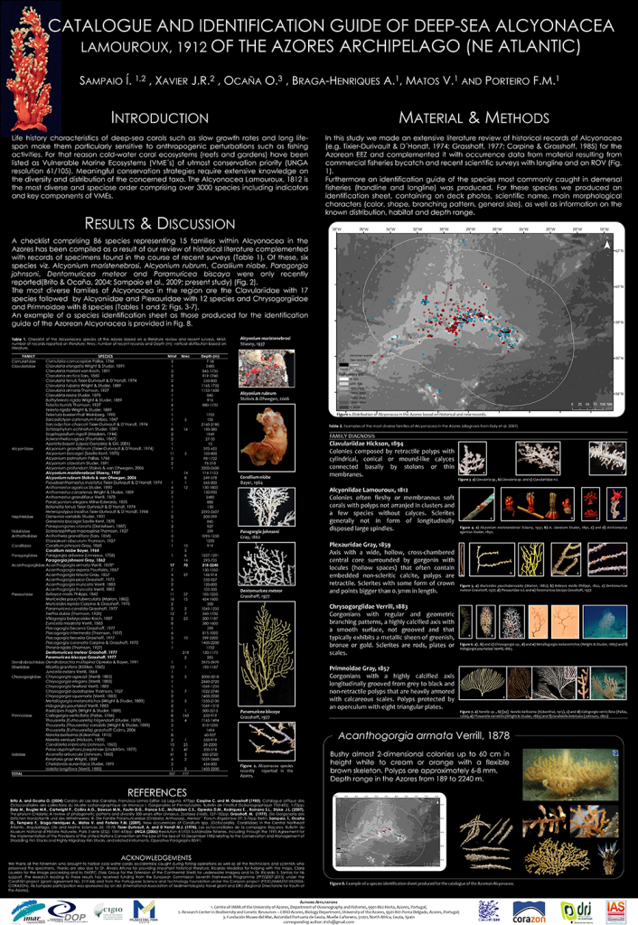 poster on octocoral catalogue