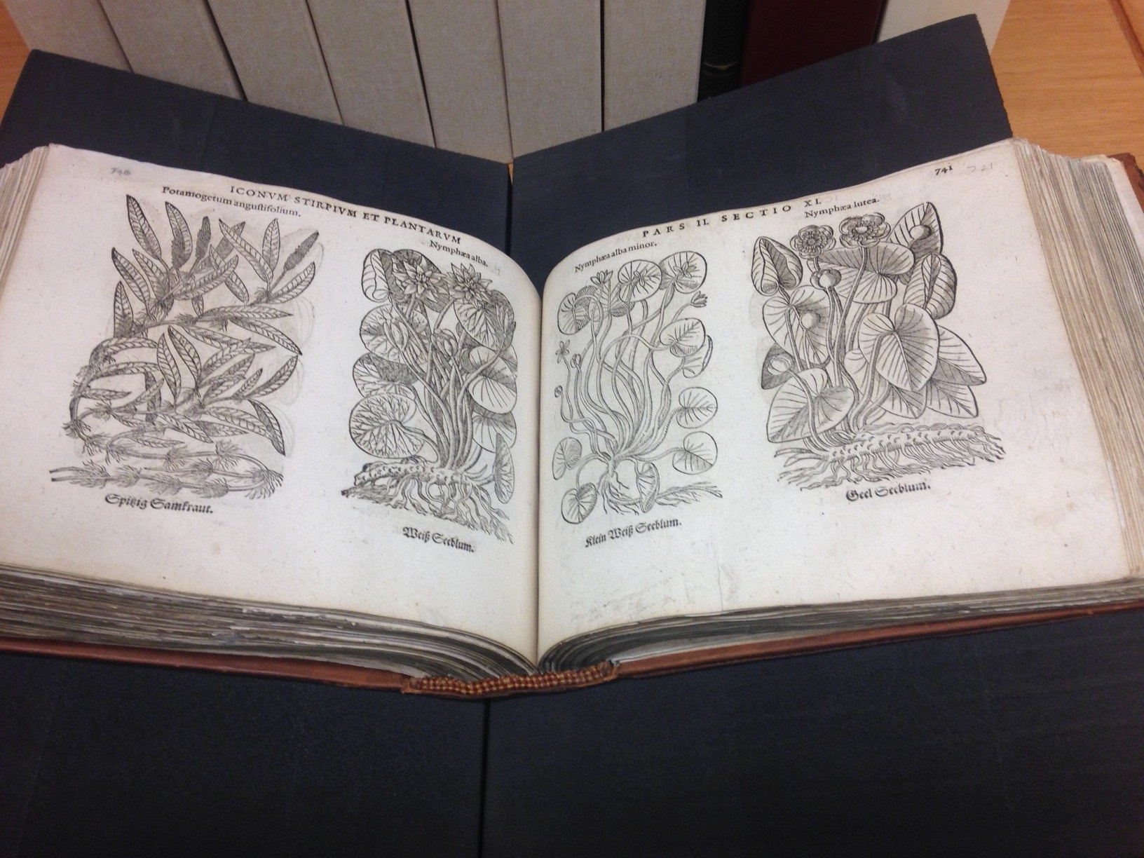 2. Eicones side-by-side pages.jpg