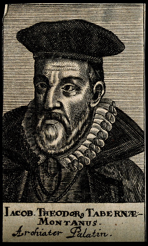 3.Jacobus_Theodorus_Tabernaemontanus._Line_engraving,_1688._Wellcome_V0005711.jpg