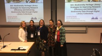 BHL representatives preparing to deliver talks as part of the BHL Symposium. Left to right: Grace Costantino, Carolyn Sheffield, Siobhan Leachman, Nicole Kearney, Constance Rinaldo.