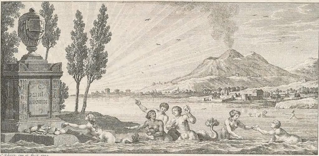 Testacea multivalvia section of text, dedicated to Pliny