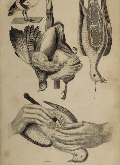 Read the full blog post