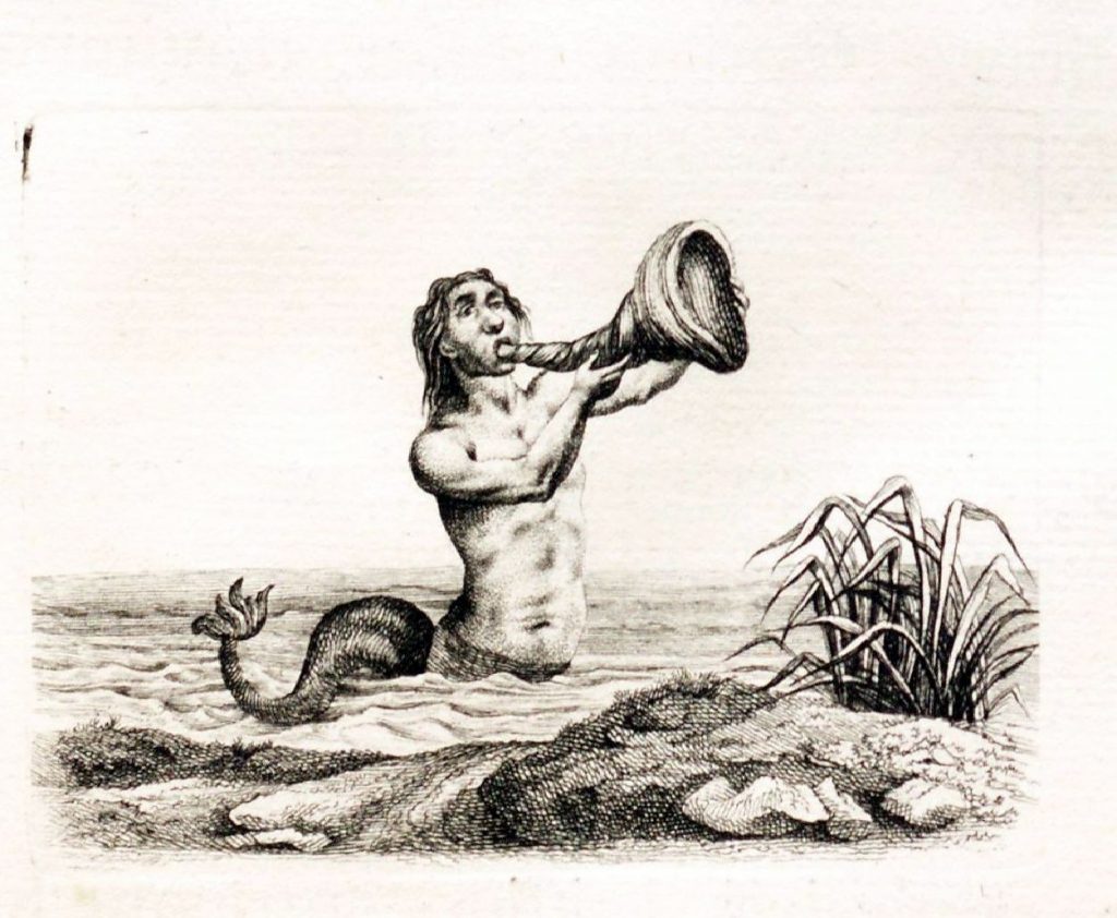 illustration of triton