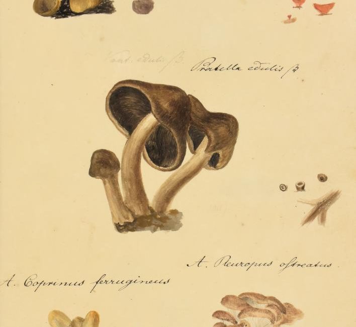 Read the full blog post