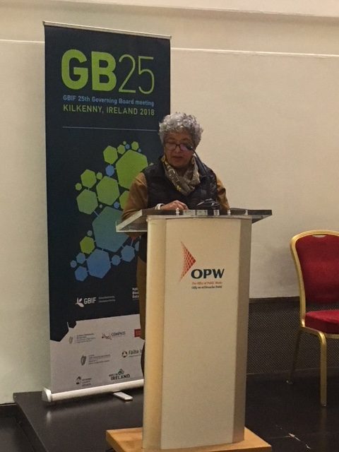 Tanya Abrahmse speaking