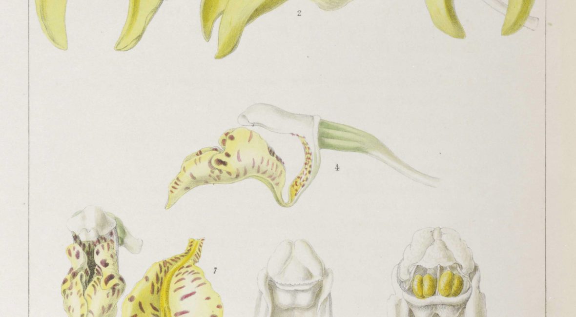 Read the full blog post