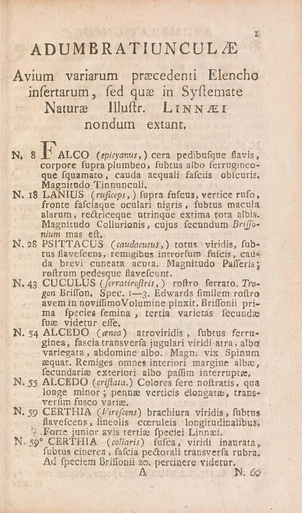 New bird species introduced in Vroeg’s Catalogue. Vroeg, Adrian. Beredeneerde catalogus van eene, by uitstek fraaye en weergaalooze verzameling, zoo van inlandsche als uitheemsche vogelen, viervoetige en gekorvene dieren. 1764. Contributed in BHL from Smithsonian Libraries.