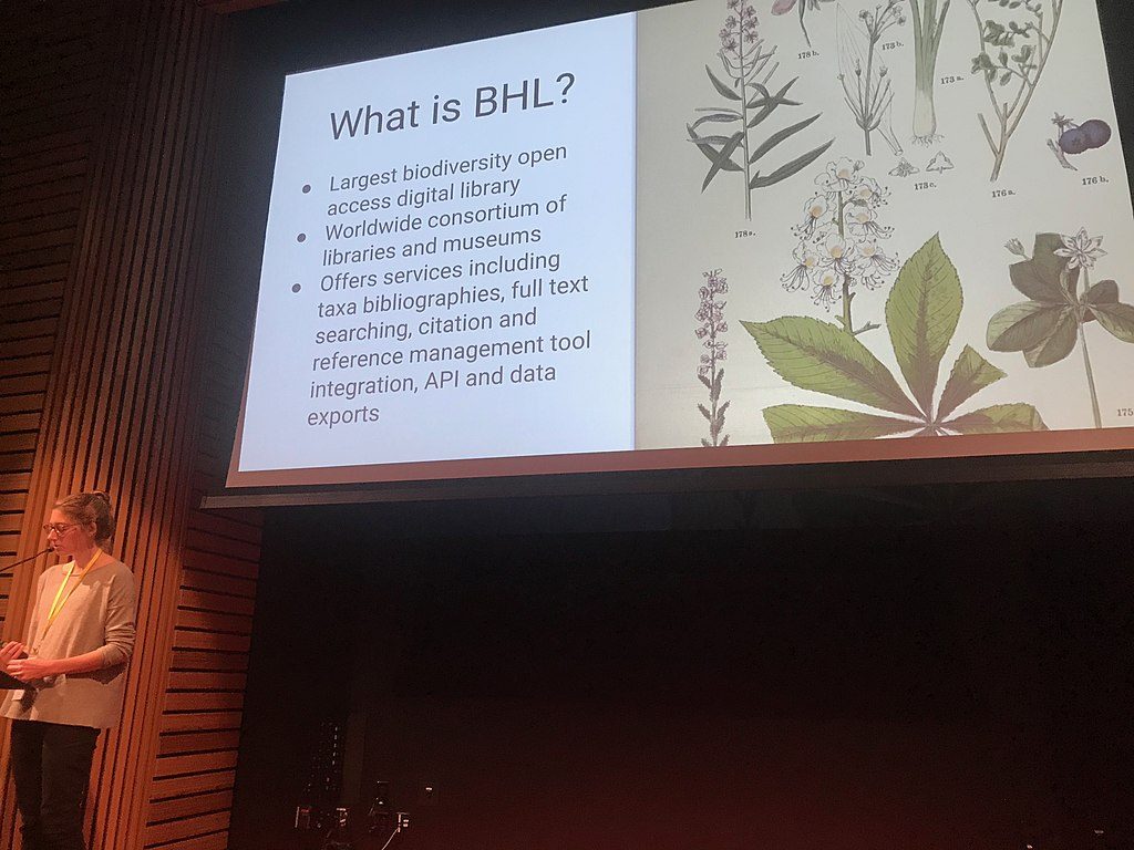 Katie Mika presenting as part of WikiCite and the Biodiversity Heritage Library at WikiCite 2018.