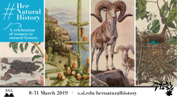 Her Natural History