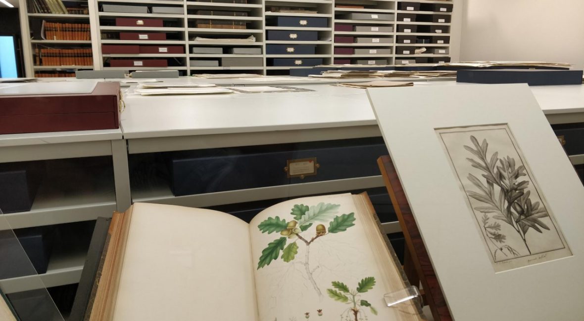 Read the full blog post