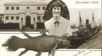 Commemorative postcard