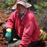 Dr. Robert Mesibov in millipede collecting hat.