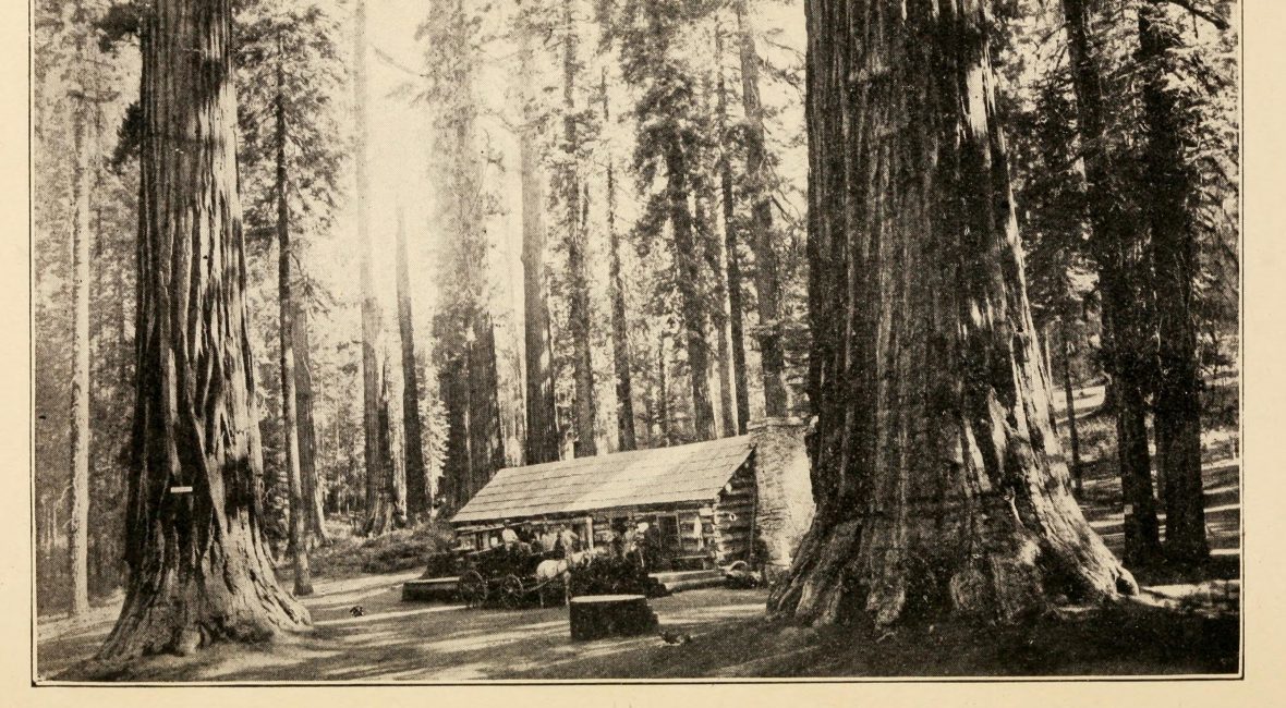 Read the full blog post