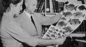 Margaret and JLB Smith review art proofs