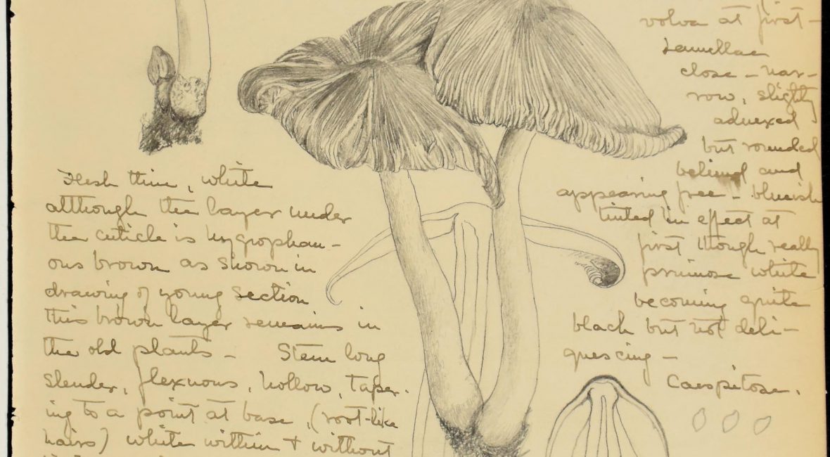 Read the full blog post