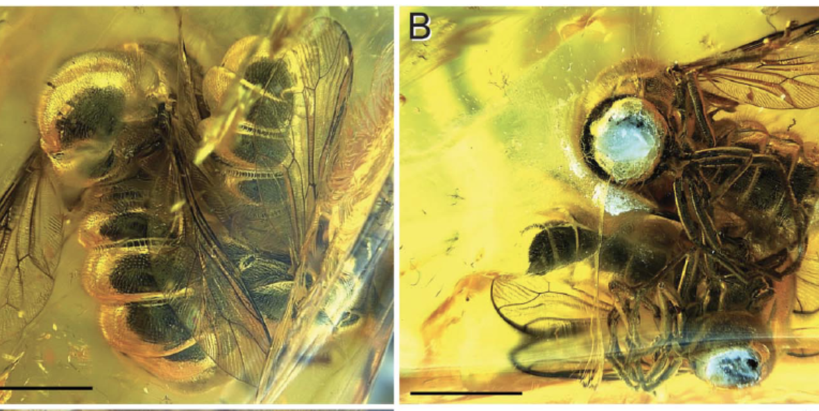 Read the full blog post