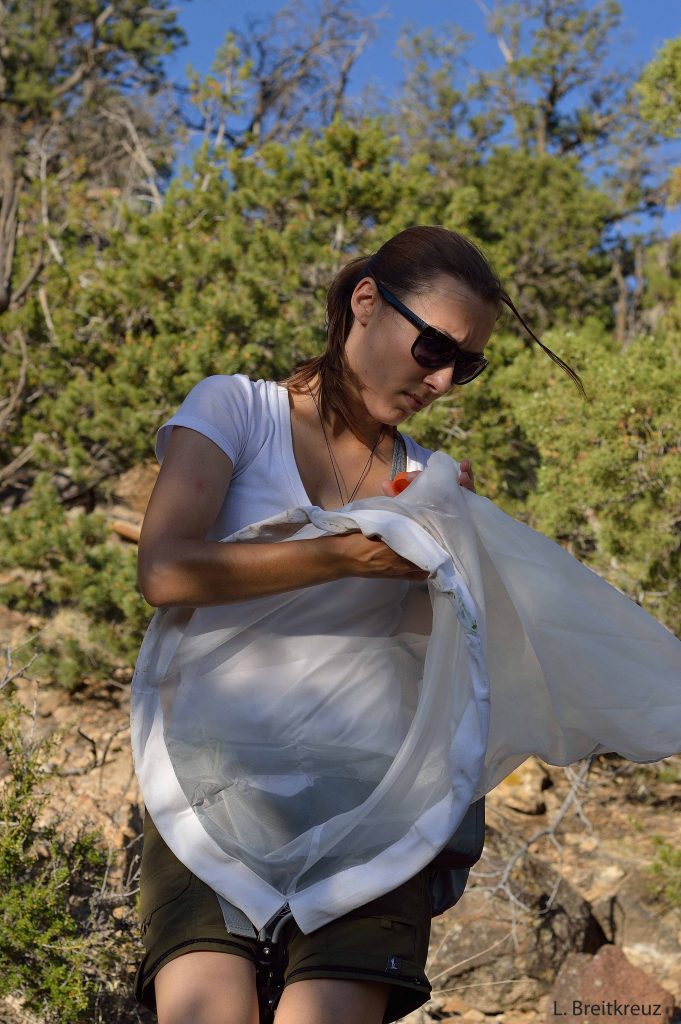 Photo of a woman collecting insects with a net.