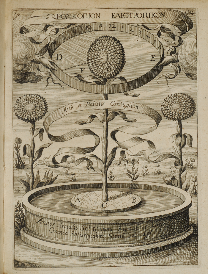 magnes sive de arte magnetica opus tripartum book sunflower clock.jpg