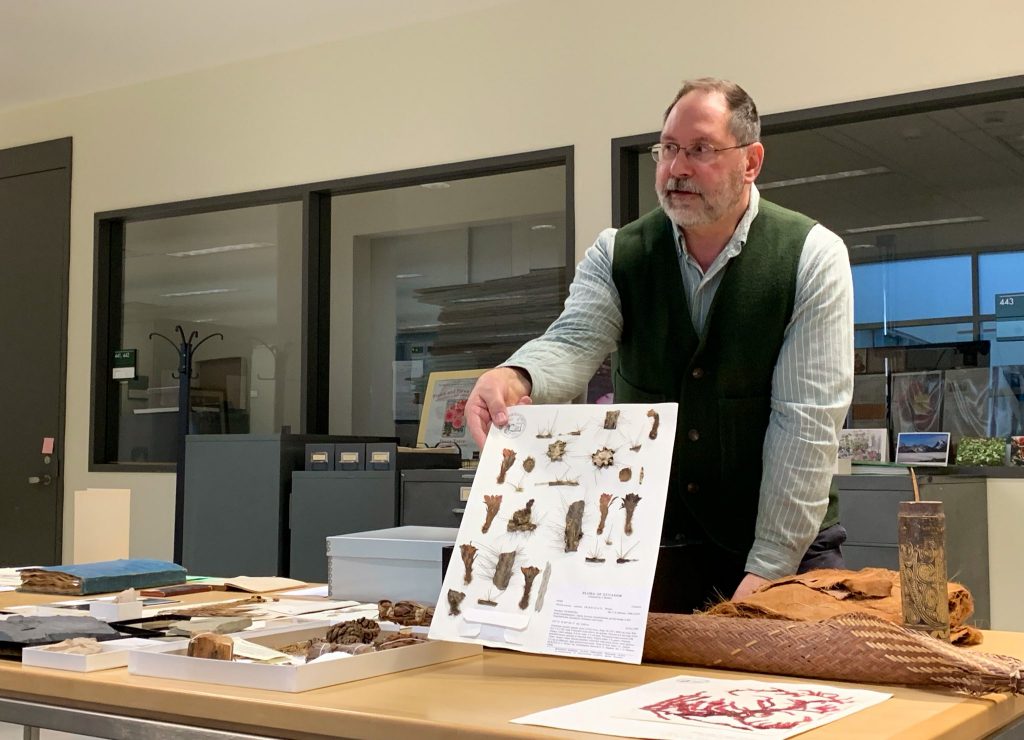 Holding holding a sheet of dried herbarium specimens.